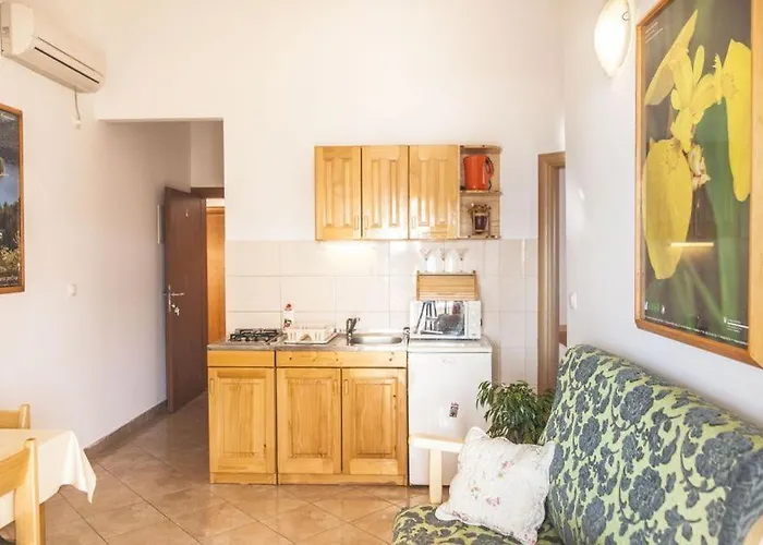 Nike 게스트하우스 보디체