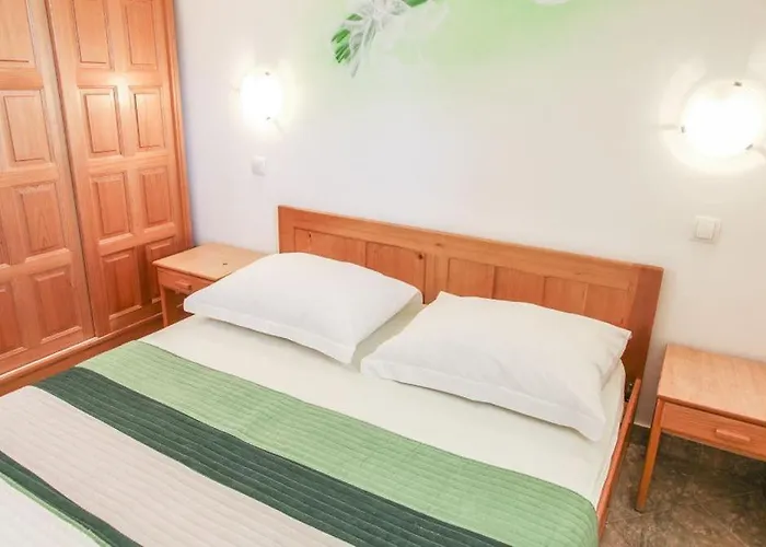 게스트하우스 Nike 3*